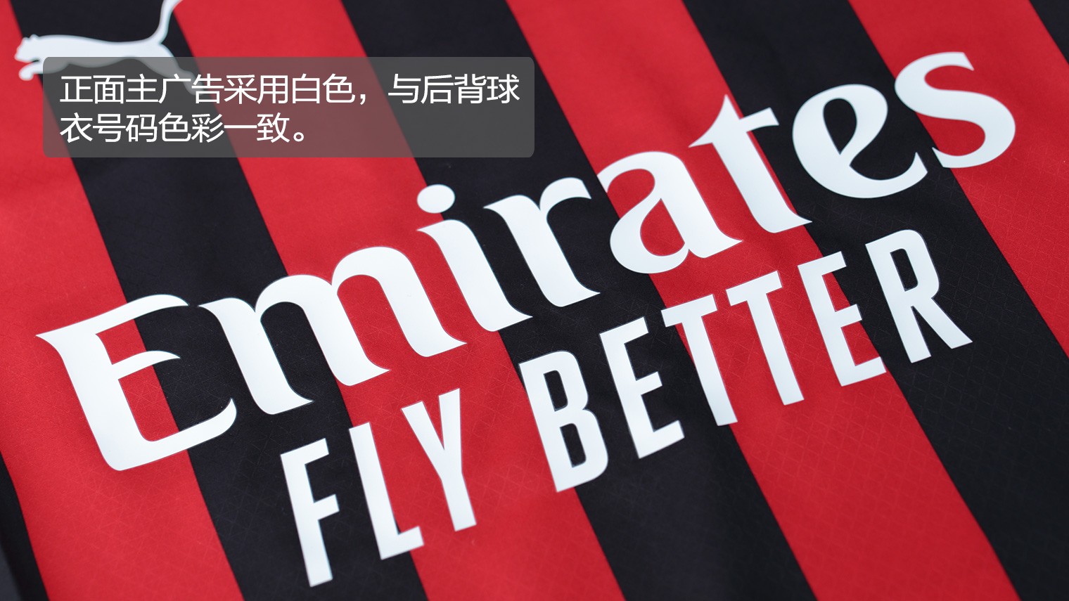 近悦远来·营城兴业丨逛营地、骑骏马！邛崃首家马术野骑营地开启乡村游玩新体验（邛崃首家马术野骑营地开营：逛营地、策马乡野，解锁乡村游新玩法）